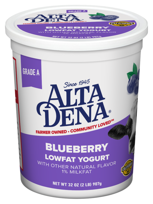 Blueberry Yogurt
